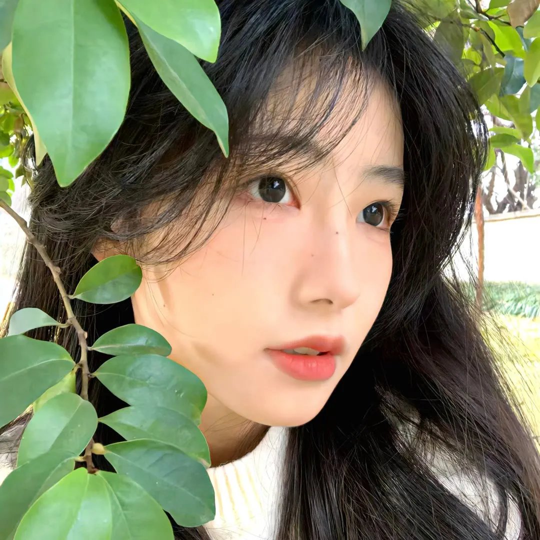 真心英雄